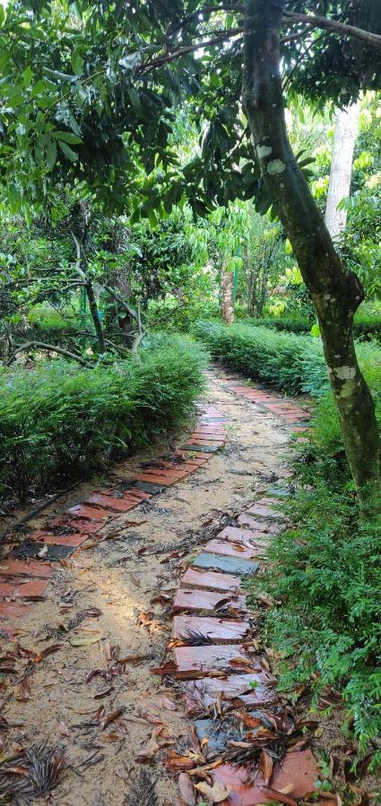 The Vintage Chikmagalur Appartement Buitenkant foto